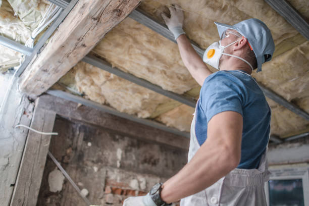 Best Specialized Insulation Services in Walled Lake, MI