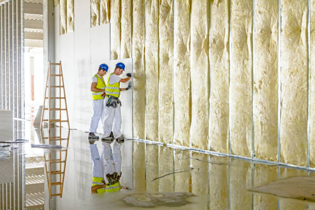 Best Insulation Maintenance and Repair in Walled Lake, MI